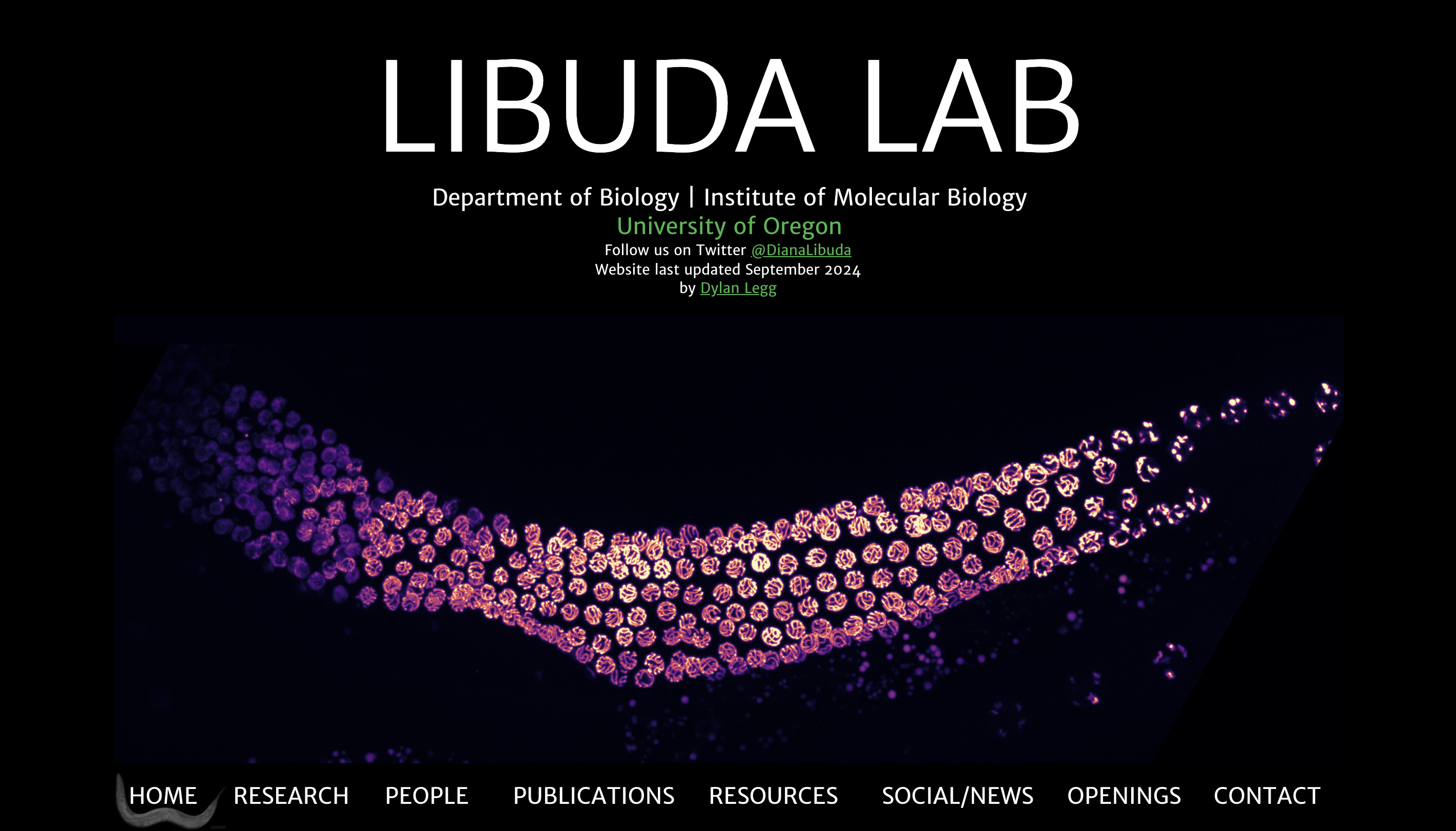 Libuda Lab desktop version